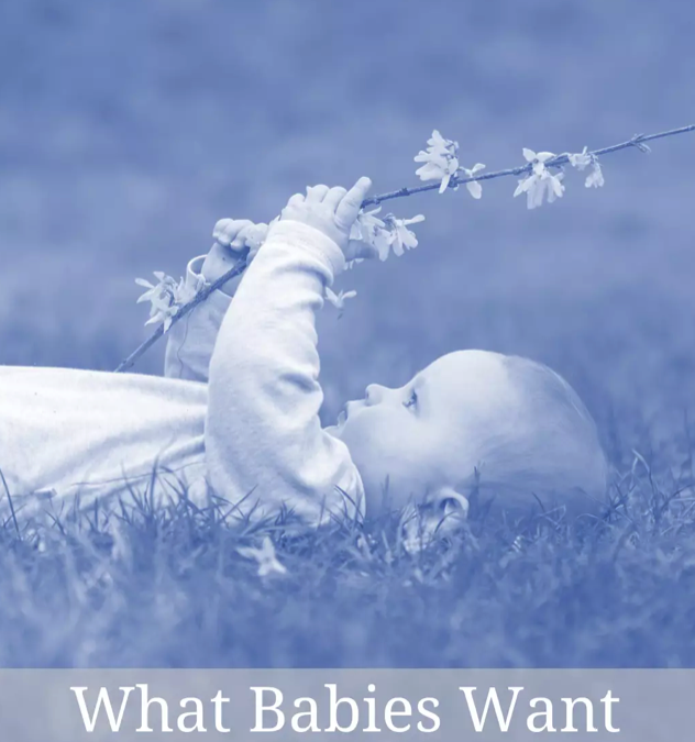 What Babies Want, Eighteen Years of Impact