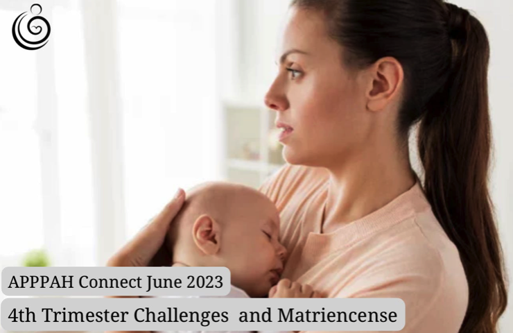 APPPAH Connect: 4th Trimester and Matriencense