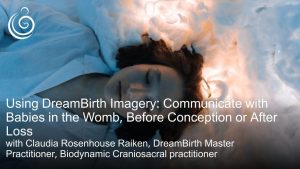 APPPAH Live: Using DreamBirth Imagery with Claudia Rosenhouse Raiken, DreamBirth Master Practitioner, Biodynamic Craniosacral practitioner, and Alexander Technique Teacher
